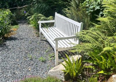 Bench Seat Among Ferns April 2024